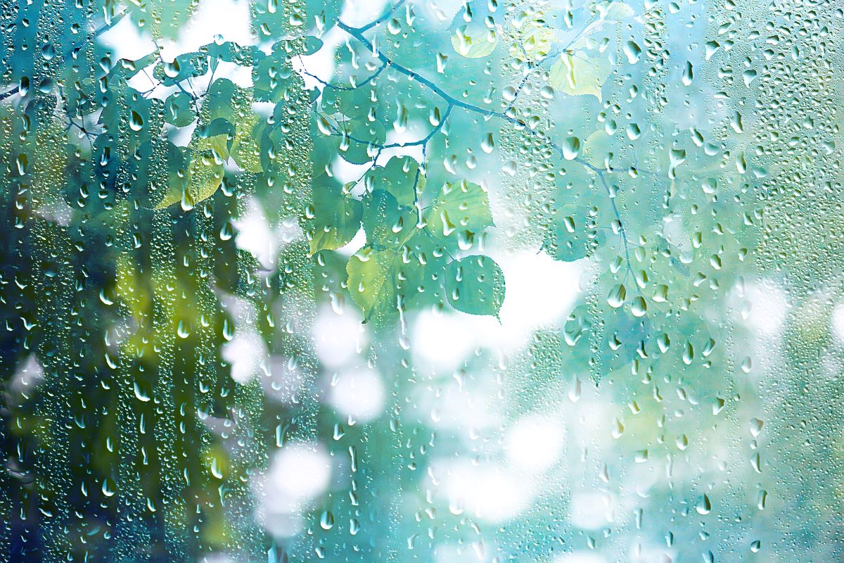 Rainy day outside the window